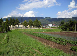 手良野口