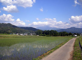 周辺の風景