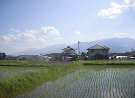 周辺の風景