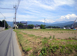 周辺の風景