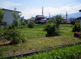 周辺の風景