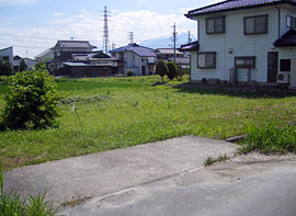 周辺の風景